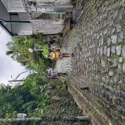 Saint Pierre Street